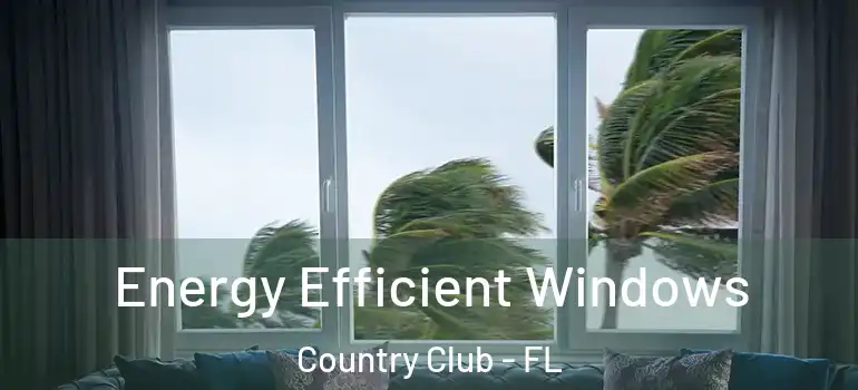  Energy Efficient Windows Country Club - FL
