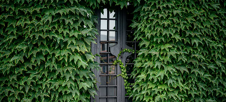 Garden Gate Repair in Country Club, FL