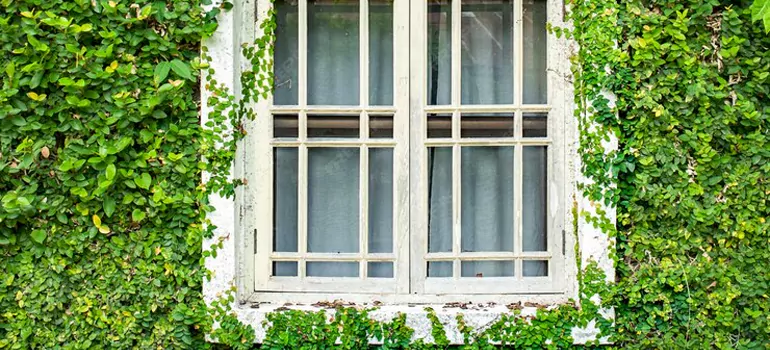 Garden Window Repair Near Me in Country Club, FL