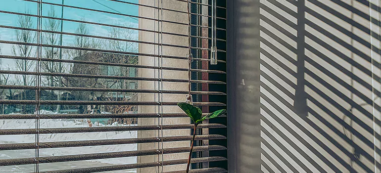 Commercial Window Blinds in Country Club, FL