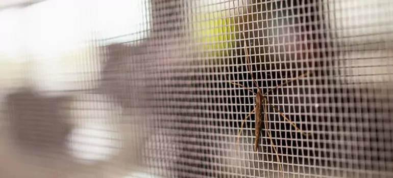 Repair Mosquito Mesh For Windows in Country Club, FL