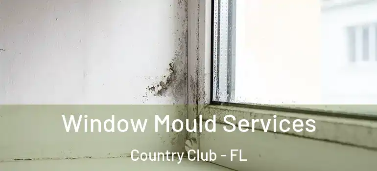  Window Mould Services Country Club - FL