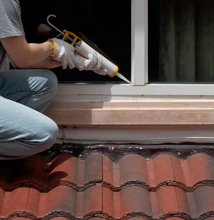 Roof Window Services in Country Club, Florida